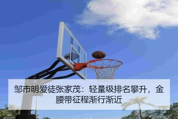 zou-shi-ming-ai-tu-zhang-jia-mao-qing-liang-ji-pai-ming-pan-sheng-jin-yao-dai-zheng-cheng-jian-xing-jian-jin-2-841.jpg
